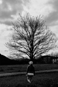 Albero 3