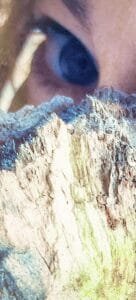 Elaborazione 4