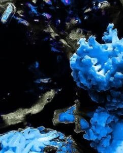 Elaborazione 5