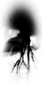 Elaborazione 6