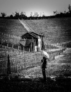 Paesaggio fotografico 1