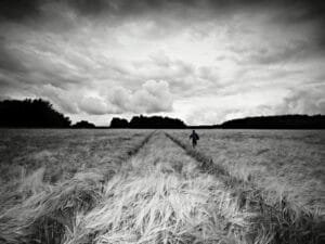 Paesaggio fotografico 5