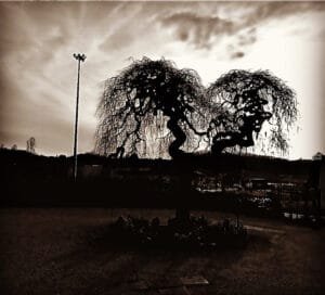 Paesaggio fotografico 6