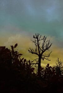 Paesaggio fotografico 7